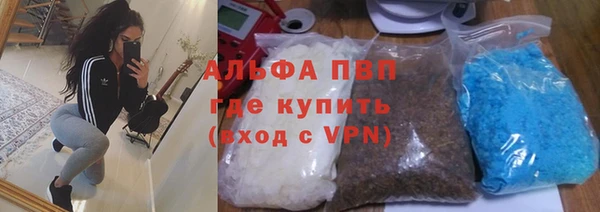 прущие грибы Армянск