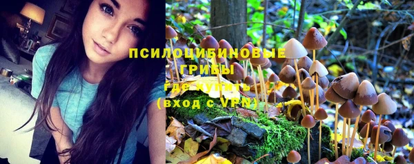 Альфа ПВП Аркадак