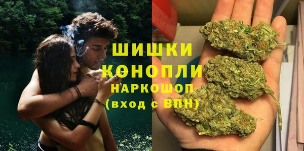 Альфа ПВП Аркадак