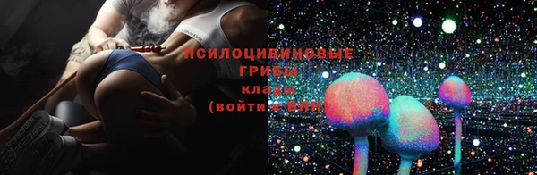 прущие грибы Армянск