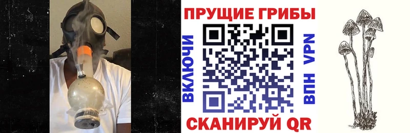 Псилоцибиновые грибы мухоморы  Покров 